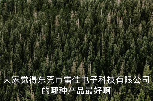 大家覺得東莞市雷佳電子科技有限公司的哪種產品最好啊