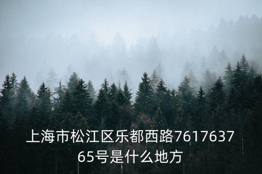 上海市松江區(qū)樂都西路761763765號是什么地方