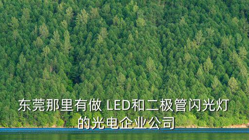 東莞那里有做 LED和二極管閃光燈 的光電企業公司