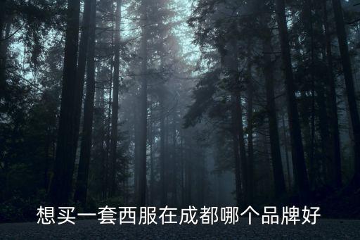 成都市春熙路西裝外套品牌，春熙路的TheFew另外西服定制店到底怎么樣