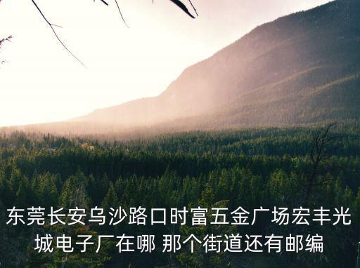 東莞長安烏沙路口時富五金廣場宏豐光城電子廠在哪 那個街道還有郵編