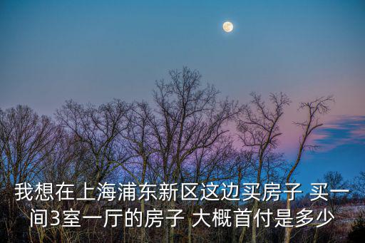 我想在上海浦東新區(qū)這邊買房子 買一間3室一廳的房子 大概首付是多少