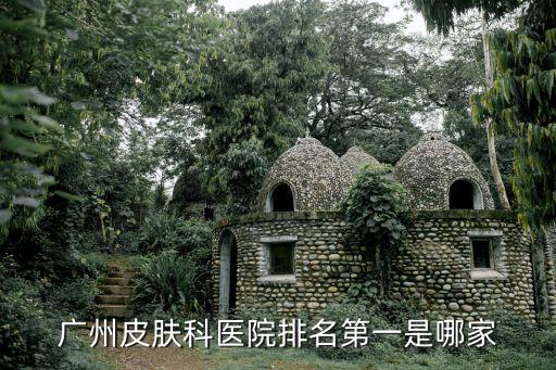 廣州皮膚科醫(yī)院排名第一是哪家
