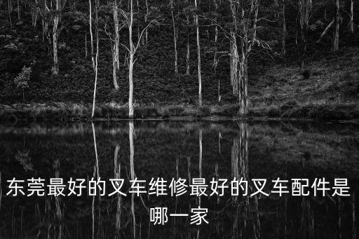 東莞最好的叉車維修最好的叉車配件是哪一家