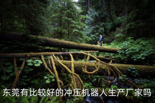 東莞沖壓廠，東莞有比較好的沖壓機器人生產廠家嗎