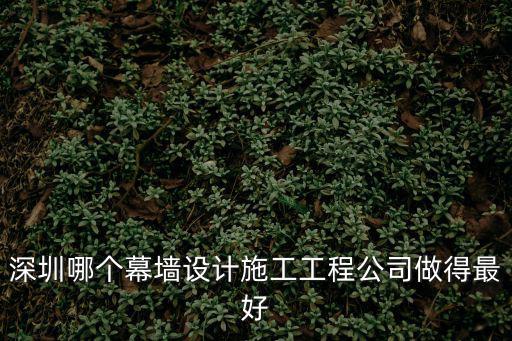 深圳哪個(gè)幕墻設(shè)計(jì)施工工程公司做得最好