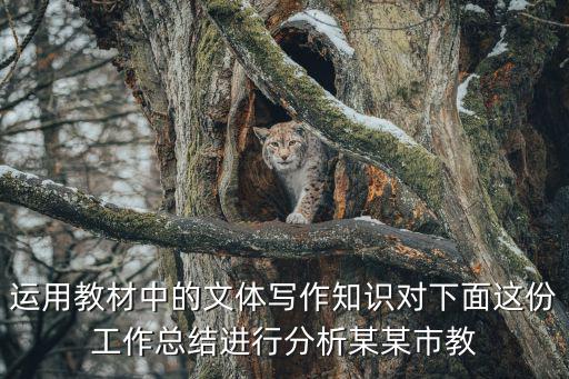 運用教材中的文體寫作知識對下面這份工作總結(jié)進行分析某某市教