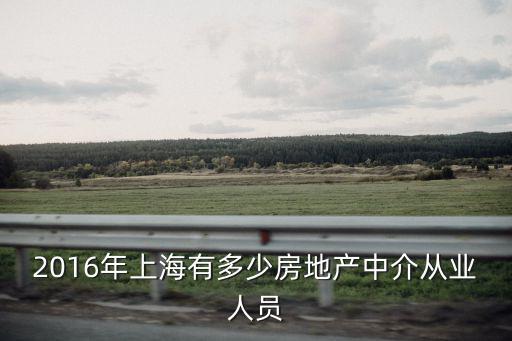 2016年上海有多少房地產中介從業人員
