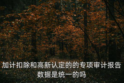 深圳加計扣除審計驗資，研發費用資本化階段加計扣除如何備案