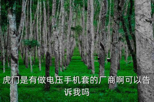 虎門是有做電壓手機套的廠商啊可以告訴我嗎