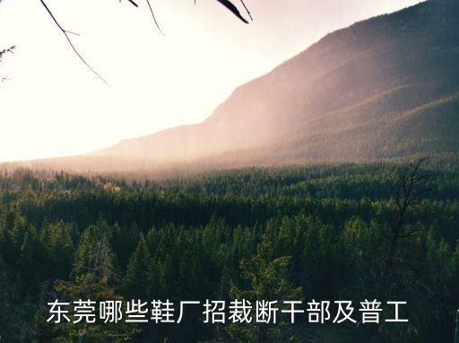 東莞哪些鞋廠招裁斷干部及普工
