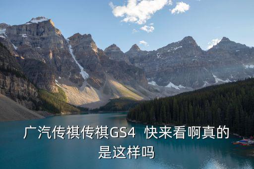 廣汽傳祺傳祺GS4  快來看啊真的是這樣嗎
