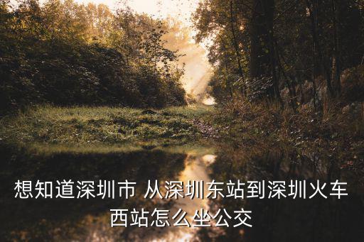 想知道深圳市 從深圳東站到深圳火車西站怎么坐公交