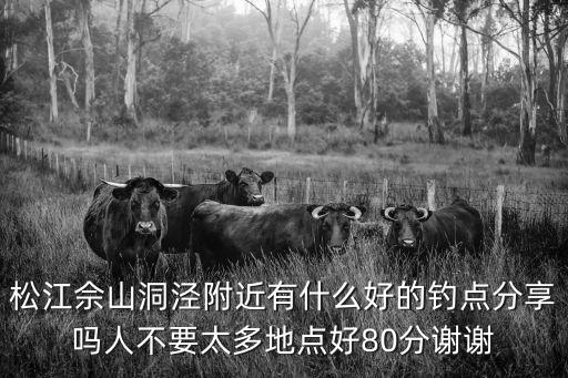 松江佘山洞涇附近有什么好的釣點分享嗎人不要太多地點好80分謝謝