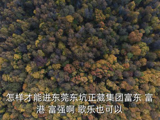 怎樣才能進東莞東坑正葳集團富東 富港 富強啊 歌樂也可以