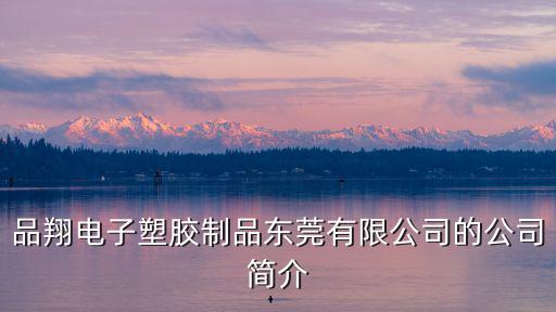 品翔電子塑膠制品東莞有限公司的公司簡介