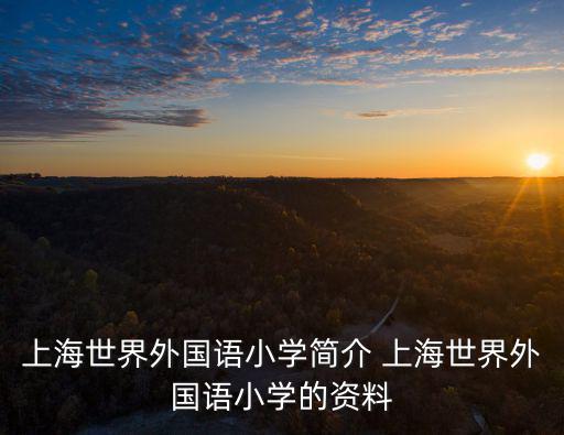 上海市世界大國際小學(xué)，上海世界外國語小學(xué)簡介 上海世界外國語小學(xué)的資料