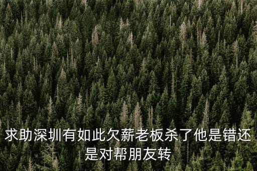 深圳百利倒閉，求助深圳有如此欠薪老板殺了他是錯還是對幫朋友轉