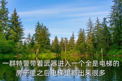 一群特警帶著武器進入一個全是電梯的房子里之后電梯里都出來很多