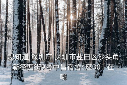想知道 深圳市 深圳市鹽田區(qū)沙頭角新徑西街9號中昌宿舍c座301 在哪