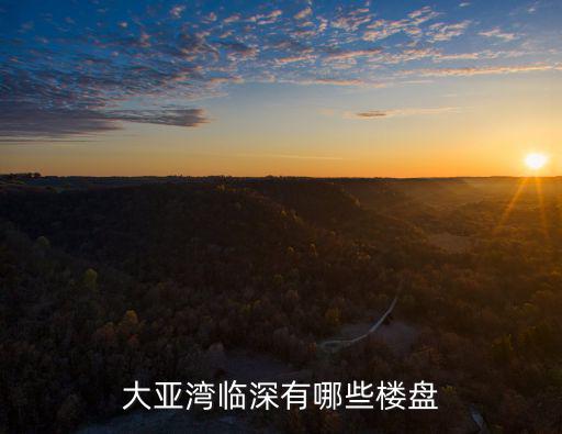 大亞灣臨深有哪些樓盤