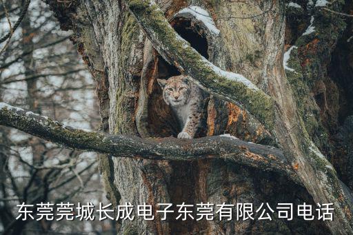 東莞莞城長成電子東莞有限公司電話