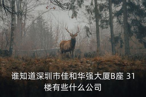 誰知道深圳市佳和華強(qiáng)大廈B座 31樓有些什么公司