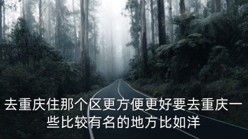 去重慶住那個區更方便更好要去重慶一些比較有名的地方比如洋