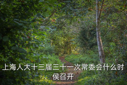 上海市人大預備會議，31會議網目前是在上海哪里啊