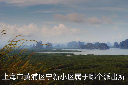上海市黃浦區寧新小區屬于哪個派出所