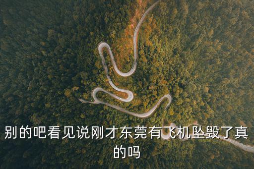 別的吧看見說剛才東莞有飛機墜毀了真的嗎