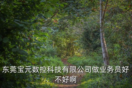 東莞寶元數(shù)控科技有限公司做業(yè)務(wù)員好不好啊