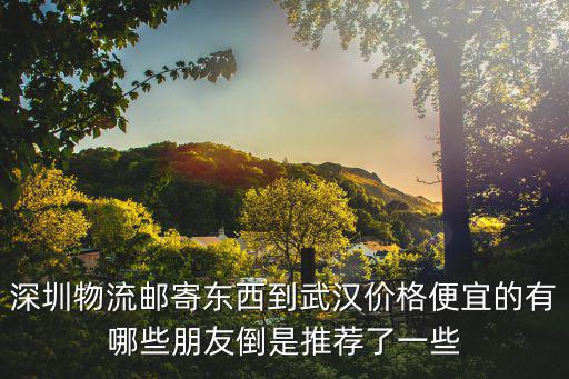 深圳物流郵寄東西到武漢價(jià)格便宜的有哪些朋友倒是推薦了一些