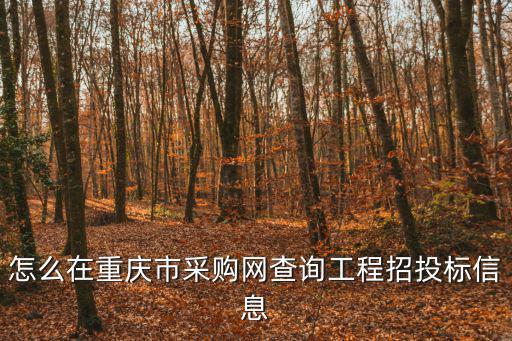 重慶市政府采購交易中心官網，重慶市工程建設招標投標交易中心 在哪
