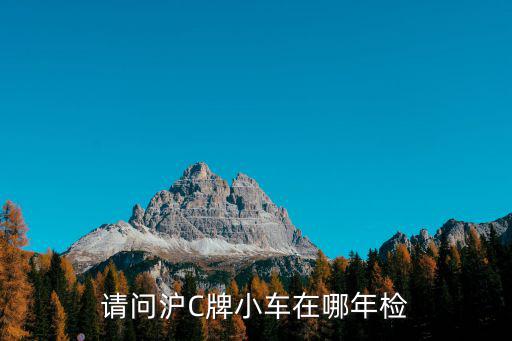 請(qǐng)問滬C牌小車在哪年檢