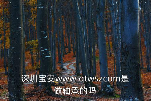 深圳寶安www qtwszcom是做軸承的嗎