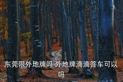東莞限外地牌嗎 外地牌滴滴答車可以嗎