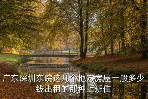 廣東深圳東皖這幾個地方房屋一般多少錢出租的那種上班住
