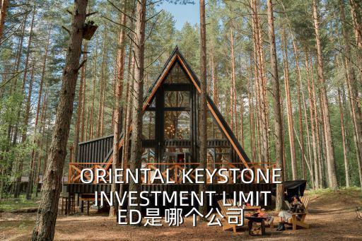 彪域科技深圳有限公司，ORIENTAL KEYSTONE INVESTMENT LIMITED是哪個公司