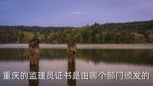 重慶的監(jiān)理員證書是由哪個部門頒發(fā)的