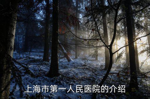 上海市第1人民醫院集團醫院，上海弟一人民醫院在什么地方