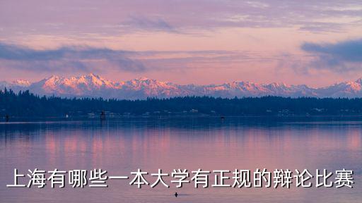 上海市高校法治辯論賽，請問上海高中生有什么辯論賽可以參加