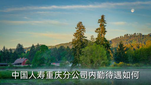 中國人壽重慶分公司內勤待遇如何