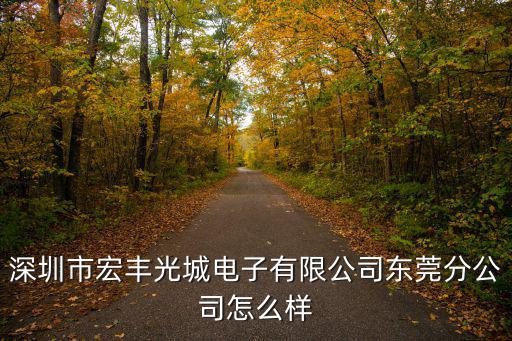 深圳市宏豐光城電子有限公司東莞分公司怎么樣