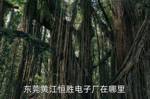 東莞黃江恒勝電子廠在哪里