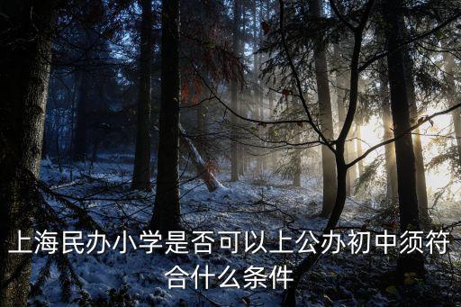 上海市民辦童園小學小升初，上海效果最好的家教機構小學升初中知識銜接課程