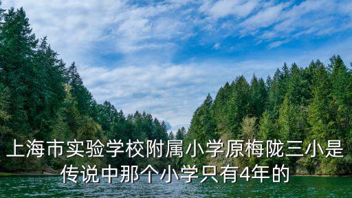 上海市實驗學校附屬小學原梅隴三小是傳說中那個小學只有4年的