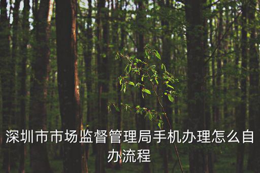 深圳市市場監(jiān)督管理局手機(jī)辦理怎么自辦流程