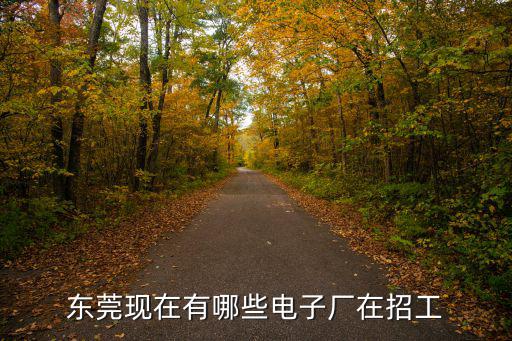 東莞現在有哪些電子廠在招工
