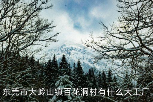 東莞市大嶺山鎮百花洞村有什么大工廠